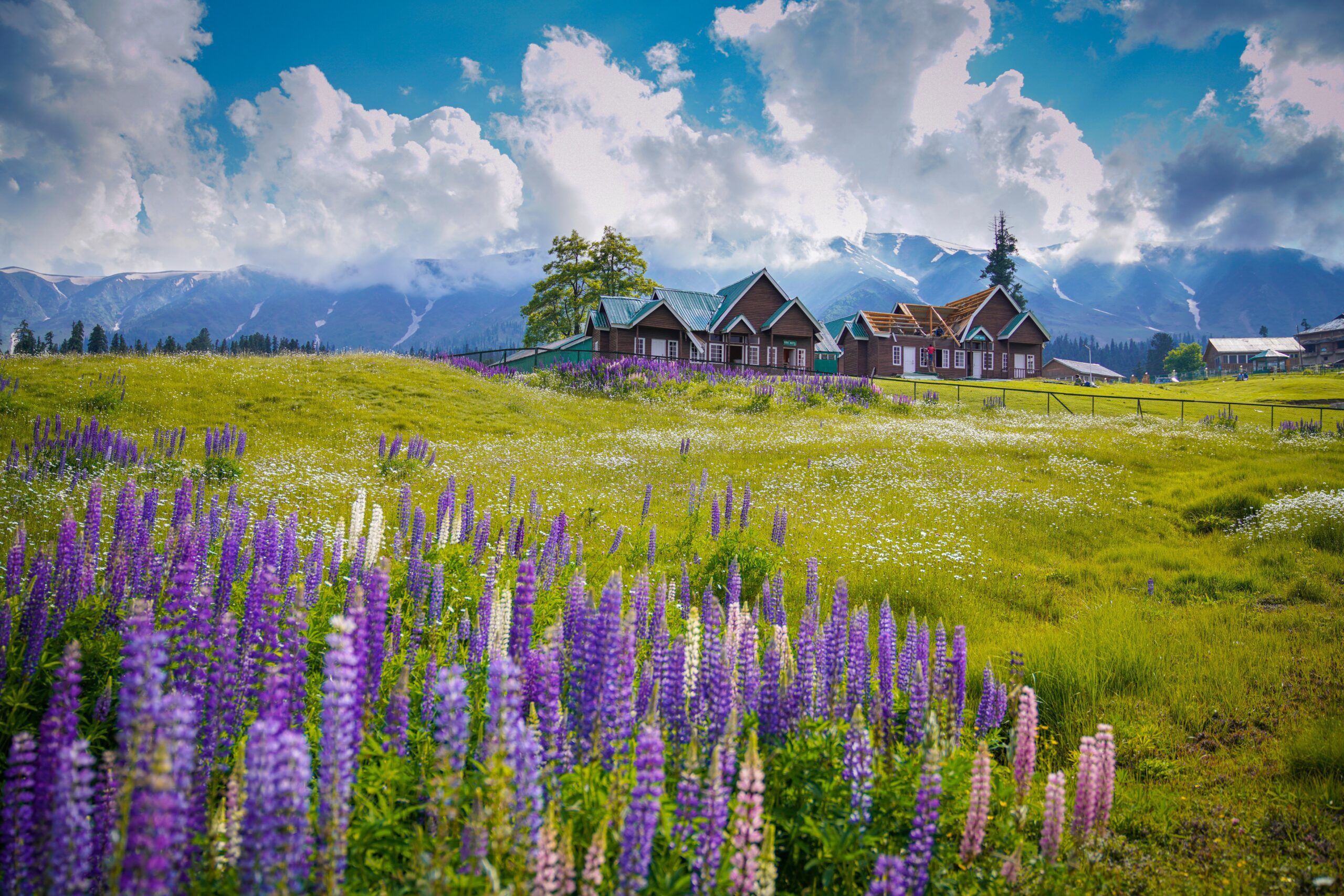 Kashmir Gulmarg Escape Tour Package